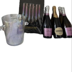 Mimosa Party! #3 w/ irridescent champagne glassses & bucket! item