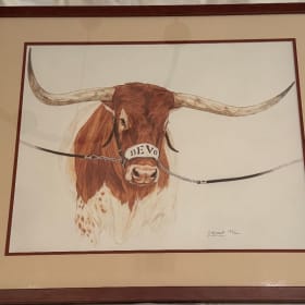 Print Of UT Longhorns Mascot Bevo XV, By C Munson item