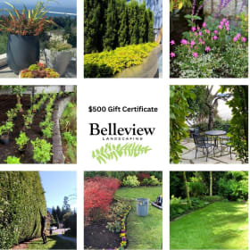 1-12 Build Your Dream Garden - $500 Gift Certificate item