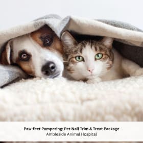 1-06 Pet Nail Trim & Treat Package - Valued at $50 item