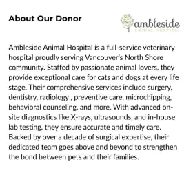 1-06 Pet Nail Trim & Treat Package - Valued at $50 item