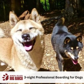 1-08 3-Night Stay at Bowen Island Dog Ranch – Valued at $264 item