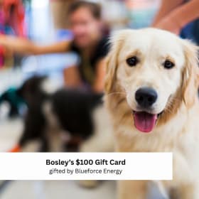 1-09 Spoil Your Fur Baby: $100 Bosley’s Gift Card item