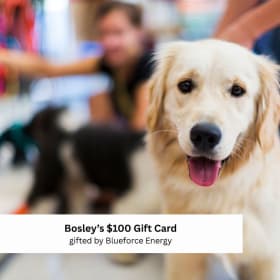 1-10 Spoil Your Fur Baby: $100 Bosley’s Gift Card item