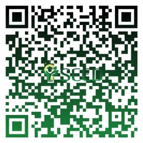 Any College Sports Game in the U.S. item