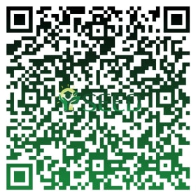 U.S. Open Tennis Tournament item