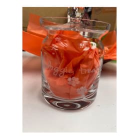 Treat jar and treat toy item