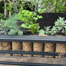 2-hour Gardening Consultation at your home item