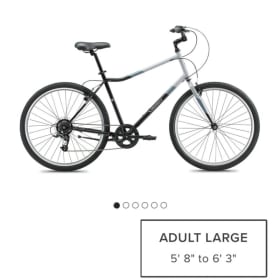 LIVE AUCTION *PRE-VIEW ONLY* item