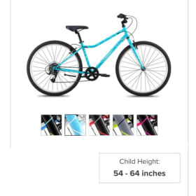 LIVE AUCTION *PRE-VIEW ONLY* item