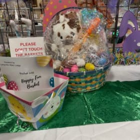 Basket 048 - " Hoppy Fun Basket  " item