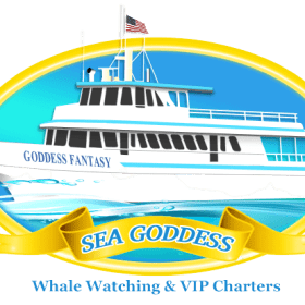 Sea Goddess Whale Watch for 2 (Monterey) item