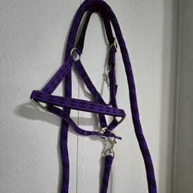 New Padded Purple and Black Horse Halter item
