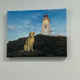 Watching The Bay by Angelo Bonvie item