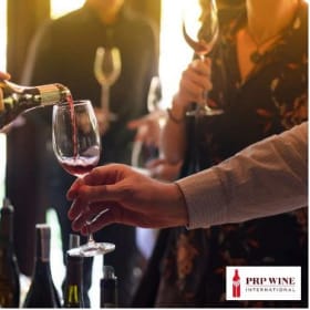 1. Amazing 12-Person In Home Wine Sampling item