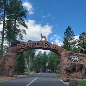 52. Bearizona Car Pass item