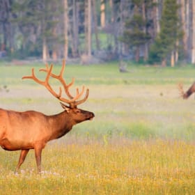 5. 4-Night Vacation to Montana! item