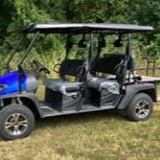 🚗 Limo Golf Cart Ride for Exam Week item