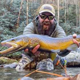 Here Fishy Fishy! item