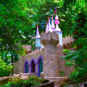 4 Tickets to Enchanted Forest Theme Park item