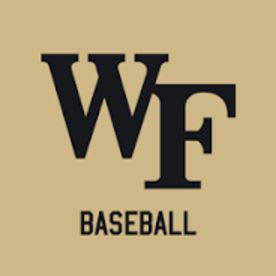 Wake Forest University Men's Baseball Camp item