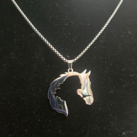 Stainless Steel Chain and Pendant item