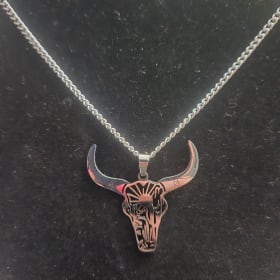 Stainless Steel Chain and Pendant item