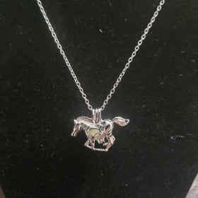 18 inch chain and pony pendant item