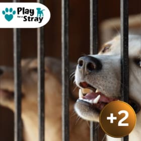 +2 Dog Rescue Tokens item