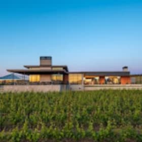 Exclusive Tasting Experience at Ponzi Vineyards item