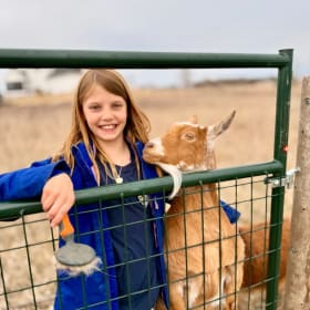 97| Equestrian Adventure: Pony Meet & Lesson item