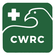 2025 Collector Sticker item