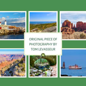 Photography by Tom Levasseur item