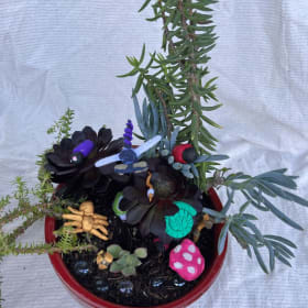 Medium succulent garden by Ms. Reilly's class item