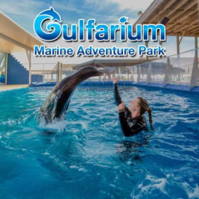 Family Fun Pack #1 item