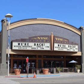 Date Night! Movies at The Vine & Dinner at Da Boccery item