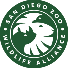 Wild Energy: Two Passes to San Diego Zoo & doTerra Gift Set item