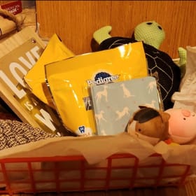 Item #66: Dog Basket item