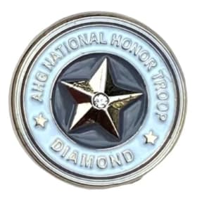 Adult Pin - Honor Troop item