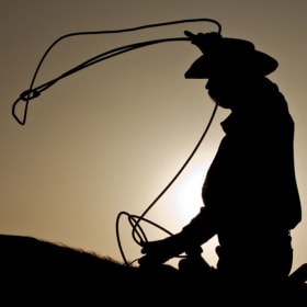 3 Nights at the Montana Hill Guest Working Cattle Ranch, BC item