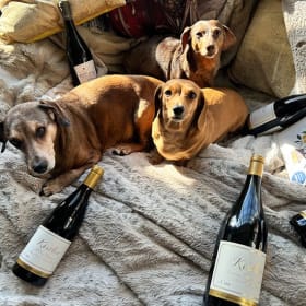 Private Party for 21 at “The Factory” Loft item