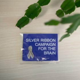 Silver Ribbon Pins item