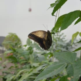 Family Fun bundle item