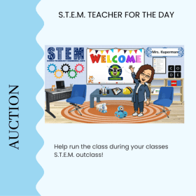 STEM teacher for the day item