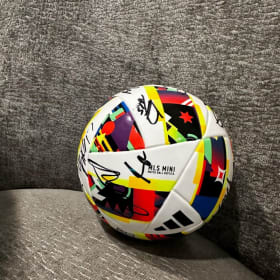 Signed Soccer Ball item