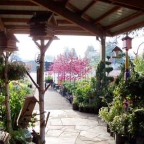 $100 Gift Card to Boring Bark & Landscape item