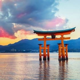 One Year of Online Language Lessons item