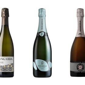Taste the bubbles of Italy! 6 bottles from boutique wineries item