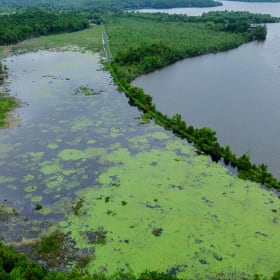 Photo du marais de la baie Murry item