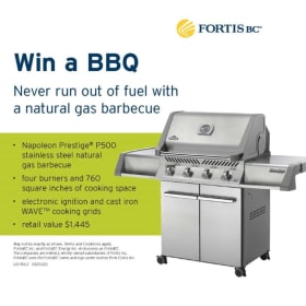 3. Napoleon Prestige P500 BBQ item